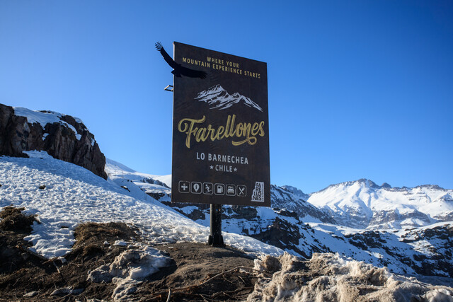 Encuentran con vida a joven extraviada en Farellones tras dos días de búsqueda