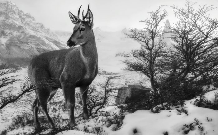 7​º Concurso de Fotografía de la Patagonia