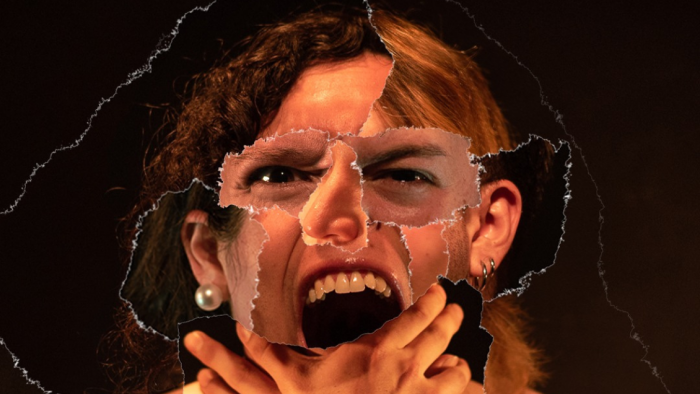 “Des información”: montaje vertiginoso que cuestiona el amor, la violencia y el exceso de imágenes