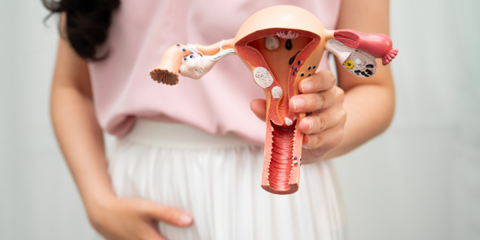 Por primera vez una mujer es reconocida como “Maestra de la Medicina Reproductiva Chilena”