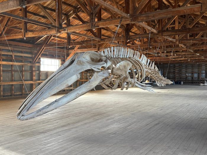 Seminario “Cuando lo extremo se convierte en la norma” en Punta Arenas