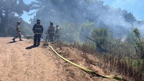 Alerta Roja en La Serena: rápida respuesta evita tragedia en el Parque Coll