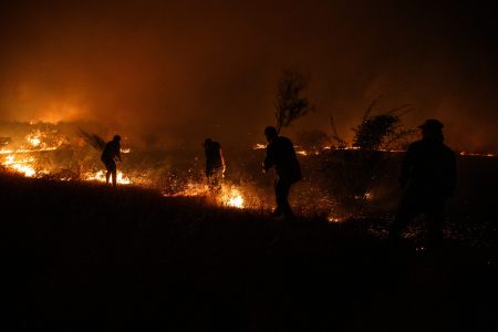 ¡Ola de calor en Ñuble!: la región está en Alerta Roja por período de temperaturas extremas