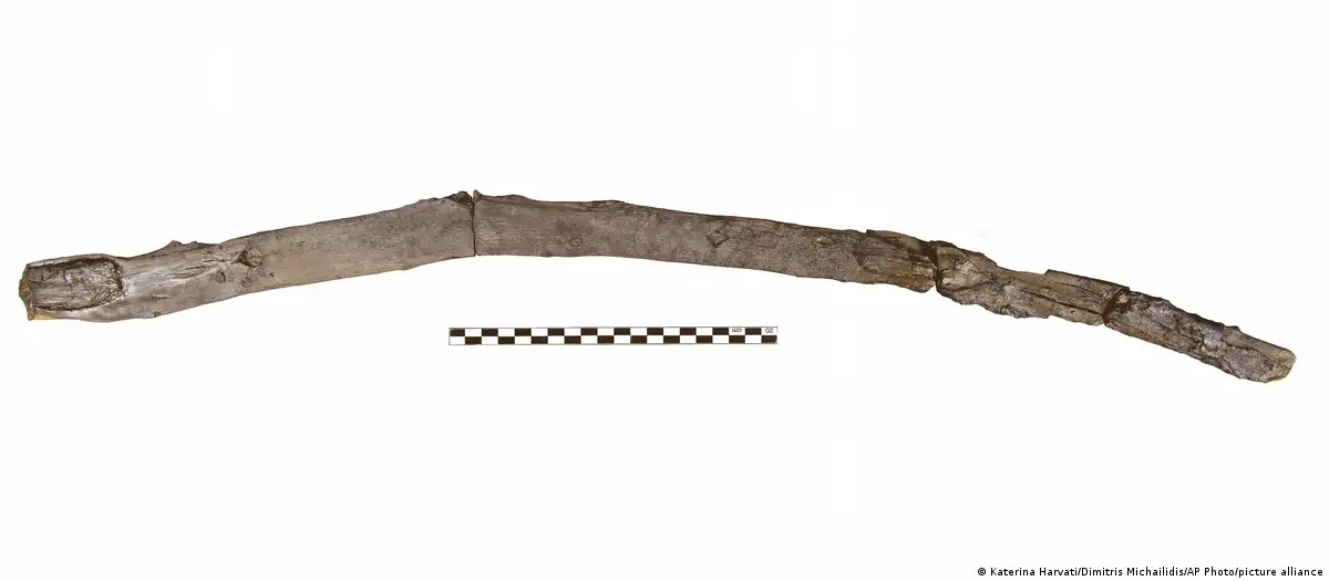 Descubren las herramientas de madera más antiguas del mundo