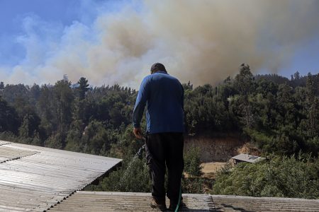Balance Conaf: 18 incendios siguen en combate y tres regiones en alerta roja