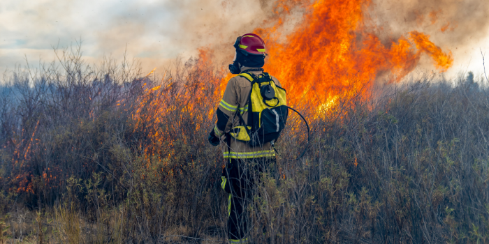 Comisión de Agricultura presiona por destrabar Ley de Incendios en medio de emergencia en el sur