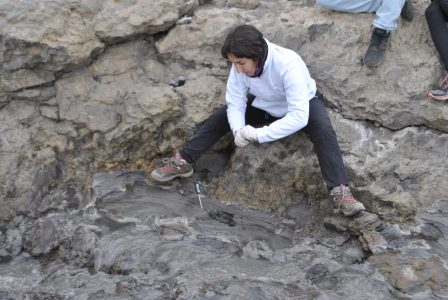 Descubren mecanismo de adaptación evolutiva en bacterias del volcán Copahue