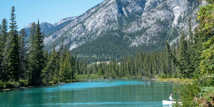 Vacaciones: una oportunidad urgente para la educación ambiental