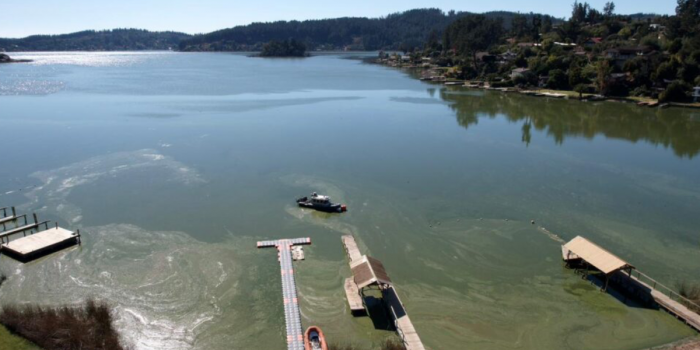 Cuando el lago deja de ser espejo: la contaminación que ya está escribiendo su propia sentencia