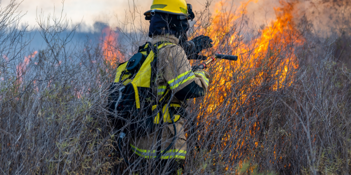 Impacto emocional en bomberos ante incendios forestales
