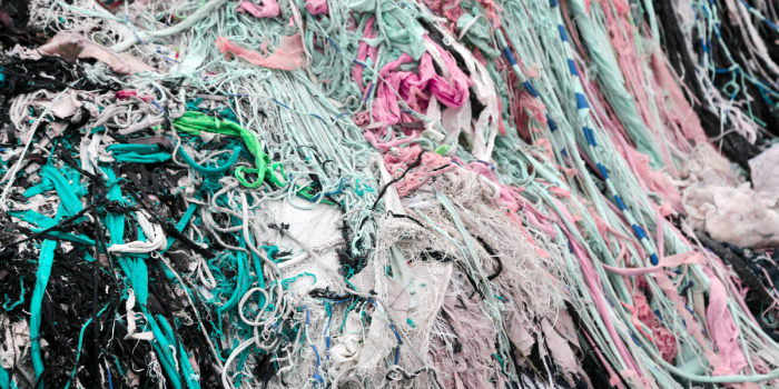 ¿Quién “rema” hacia un mejor sistema REP?