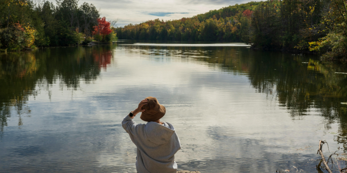 El cerebro pide naturaleza: estudio revela que el descanso digital no basta para recuperar la mente