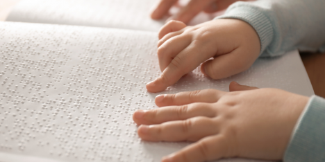 La diversidad y el elefante