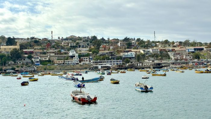 Tongoy busca recuperar el verano con festival musical y gastronómico