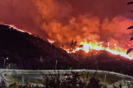 Incendio forestal en Concepción provoca alerta roja y evacuación en Penco