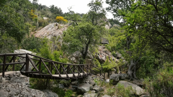 [Lo+leído] Contraloría detecta más de 400 construcciones irregulares cercanas al Parque La Campana