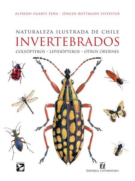 Presentación del libro “Naturaleza ilustrada de Chile. Invertebrados” en Viña del Mar