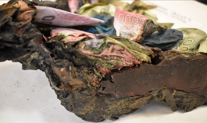 ¿Se puede recuperar el dinero quemado?: revisa qué hacer si fuiste afectado por incendios forestales