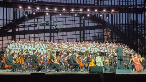 Raíces y alas para comenzar el año