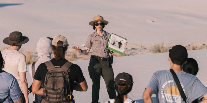 Cómo viajan hoy los chilenos: circuitos organizados ganan terreno frente al viaje independiente