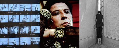 Realizan la primera muestra colectiva de retratos de Pedro Lemebel