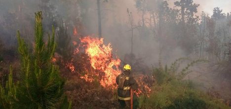 Senapred cancela Alerta Roja en la Región de Ñuble por incendios forestales