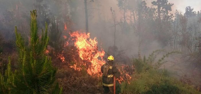 Senapred cancela Alerta Roja en la Región de Ñuble por incendios forestales