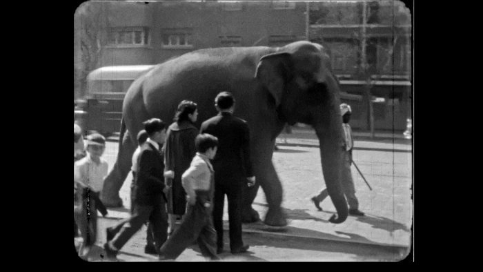 Película “Cartas a mis padres muertos” en Centro Arte Alameda