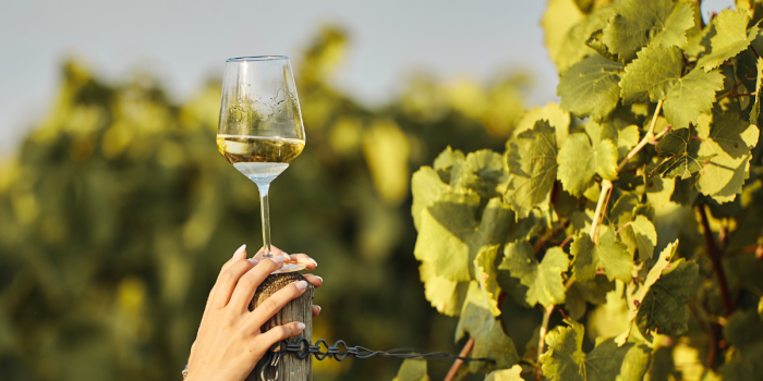 Nuevas formas de brindar: el auge de alternativas bajas en alcohol y calorías