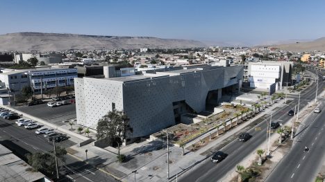 Investigan por primera vez una bacteria presente en mujeres embarazadas de Arica y Parinacota