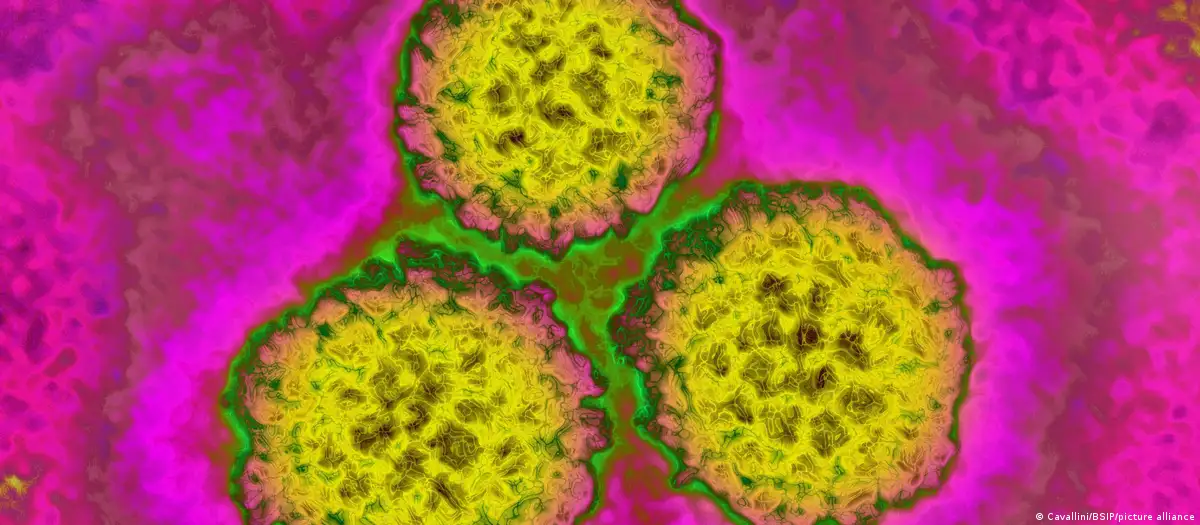 Cómo prevenir el cáncer: un nuevo estudio mapea los riesgos