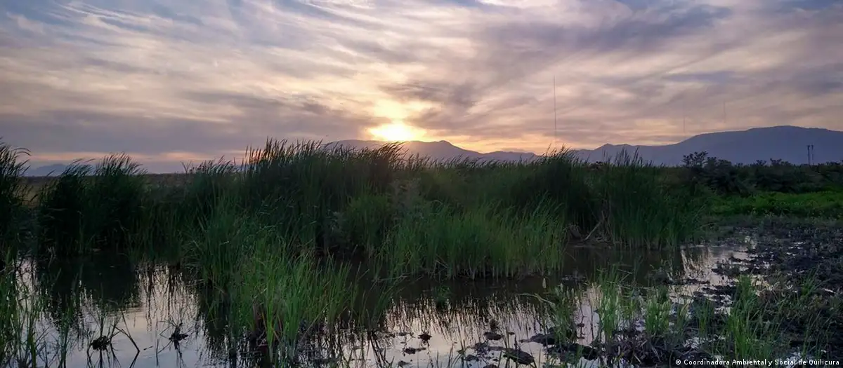 Comunidad en Chile emula a la IA en denuncia por uso de agua