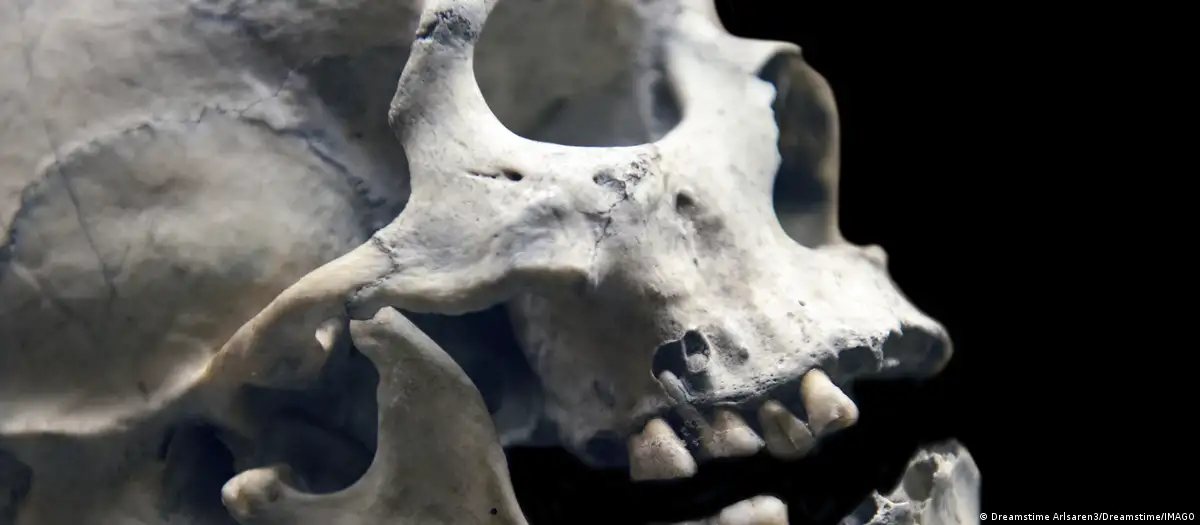 Descubren cirugía maxilofacial de hace 2.500 años
