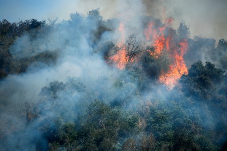 CONAF alerta alto riesgo de incendios para este fin de semana en seis regiones