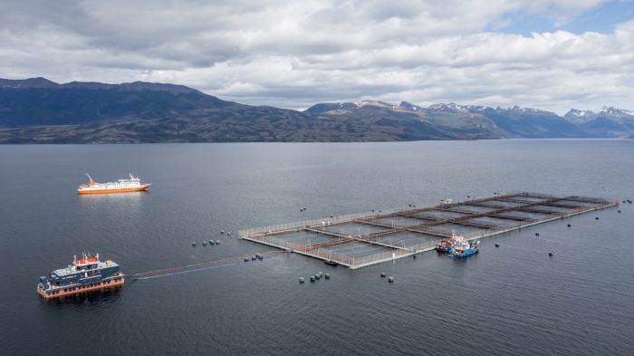 Salmonicultura y turismo en Puerto Natales: la convivencia que se vive en tierra y en los fiordos