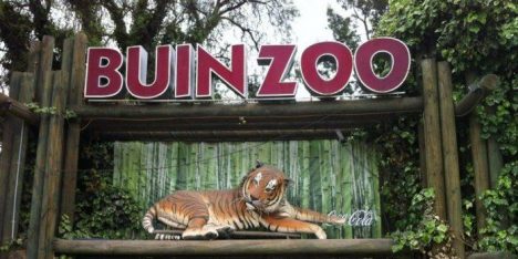 Cambio de horario en el Buin Zoo desde marzo: revisa cómo quedará su funcionamiento