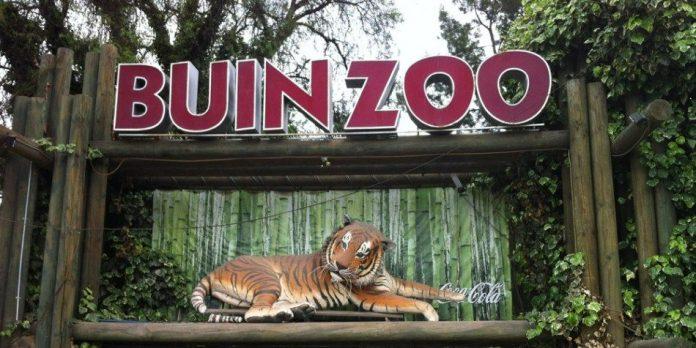 Cambio de horario en el Buin Zoo desde marzo: revisa cómo quedará su funcionamiento