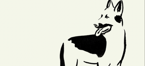 "Cuando ellos se van": Julia Navarro y sus inolvidables compañeros