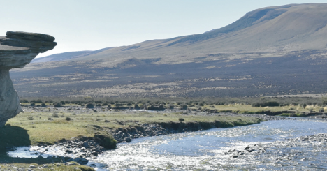 Publican primer registro de grabados rupestres en Magallanes