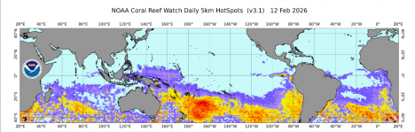 Transición climática y océano cálido configuran escenario de eventos extremos en Chile