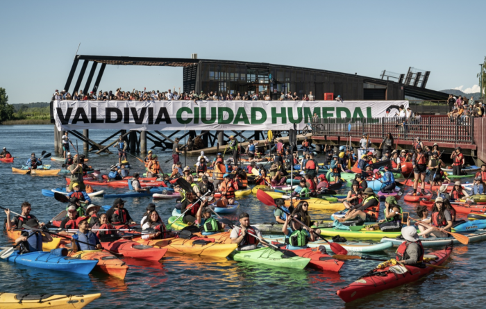Valdivia, 20 años construyendo su identidad como Ciudad Humedal