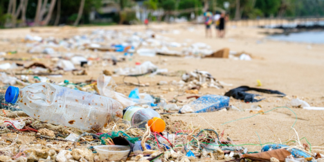 Playas sin plástico: Zapallar y Cachagua evitan 50 mil botellas con hidratación sustentable