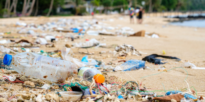 Playas sin plástico: Zapallar y Cachagua evitan 50 mil botellas con hidratación sustentable