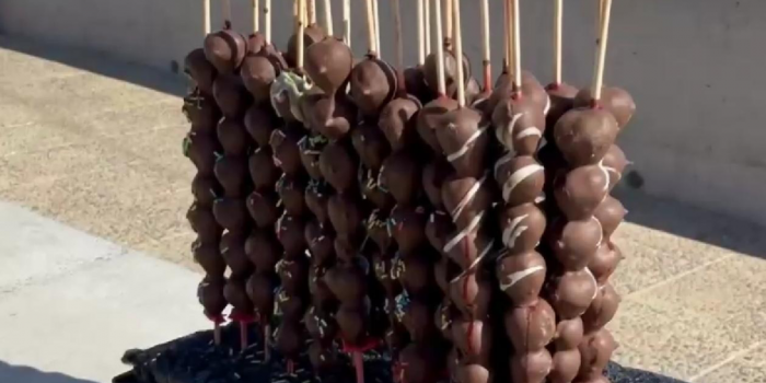 Alerta en playas: decomisan comida sin control y cuestionan venta de frutillas con chocolate