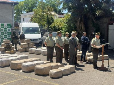 Desmantelan cultivos en O’Higgins y Biobío: son más de 37 mil plantas y 1.279 kilos de marihuana