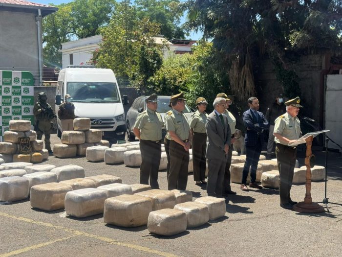 Desmantelan cultivos en O’Higgins y Biobío: son más de 37 mil plantas y 1.279 kilos de marihuana