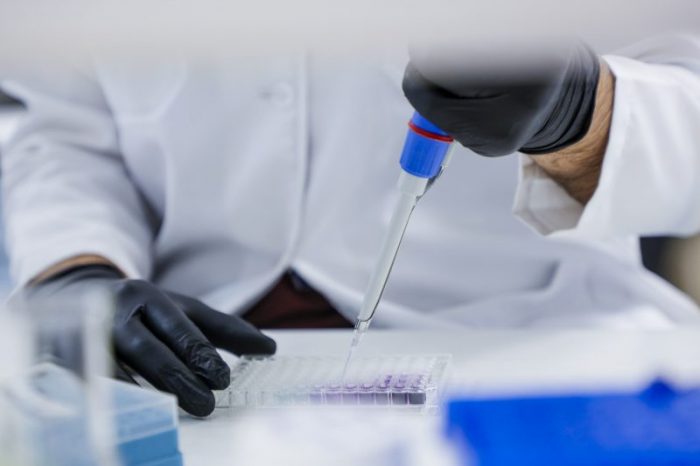 Universidad privada se adjudica 28 proyectos Fondecyt Regular 2026