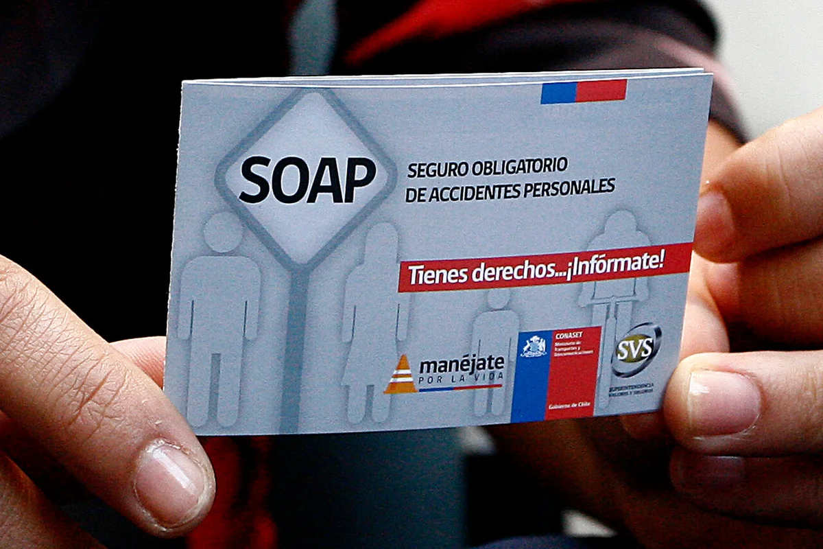 SOAP 2026: dónde comprarlo y cuáles son los precios más bajos tras la Ley Jacinta