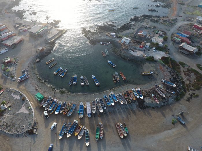 Festival de la Ballena en Chañaral de Aceituno