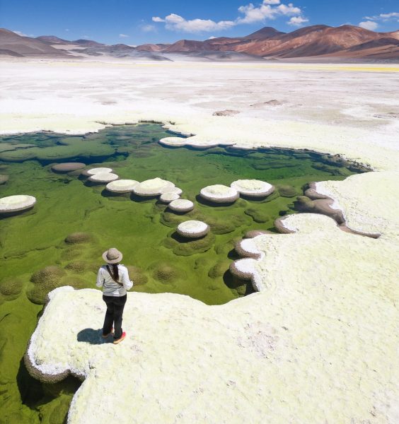 Salar de Gorbea: un destino de alta cordillera en Atacama donde el paisaje se explica con ciencia